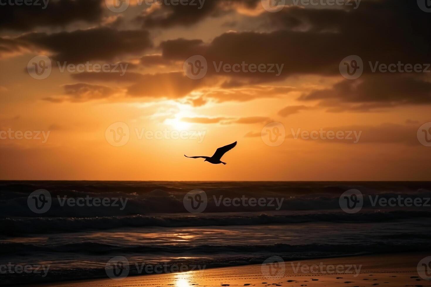 A flying seagull silhouette in sunset sky and beach. photo