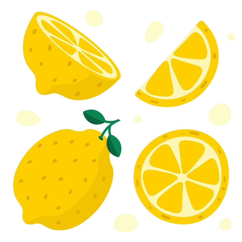 Hand Drawn Lemon. Half Of Lemon, Slice. Colorful Flat Style Vector Illustration