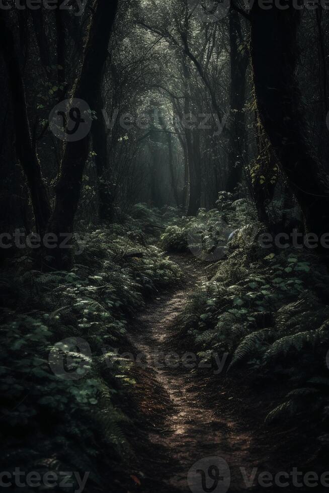 Dark forest, with a path in the middle, horror ambient, trees on the side. photo