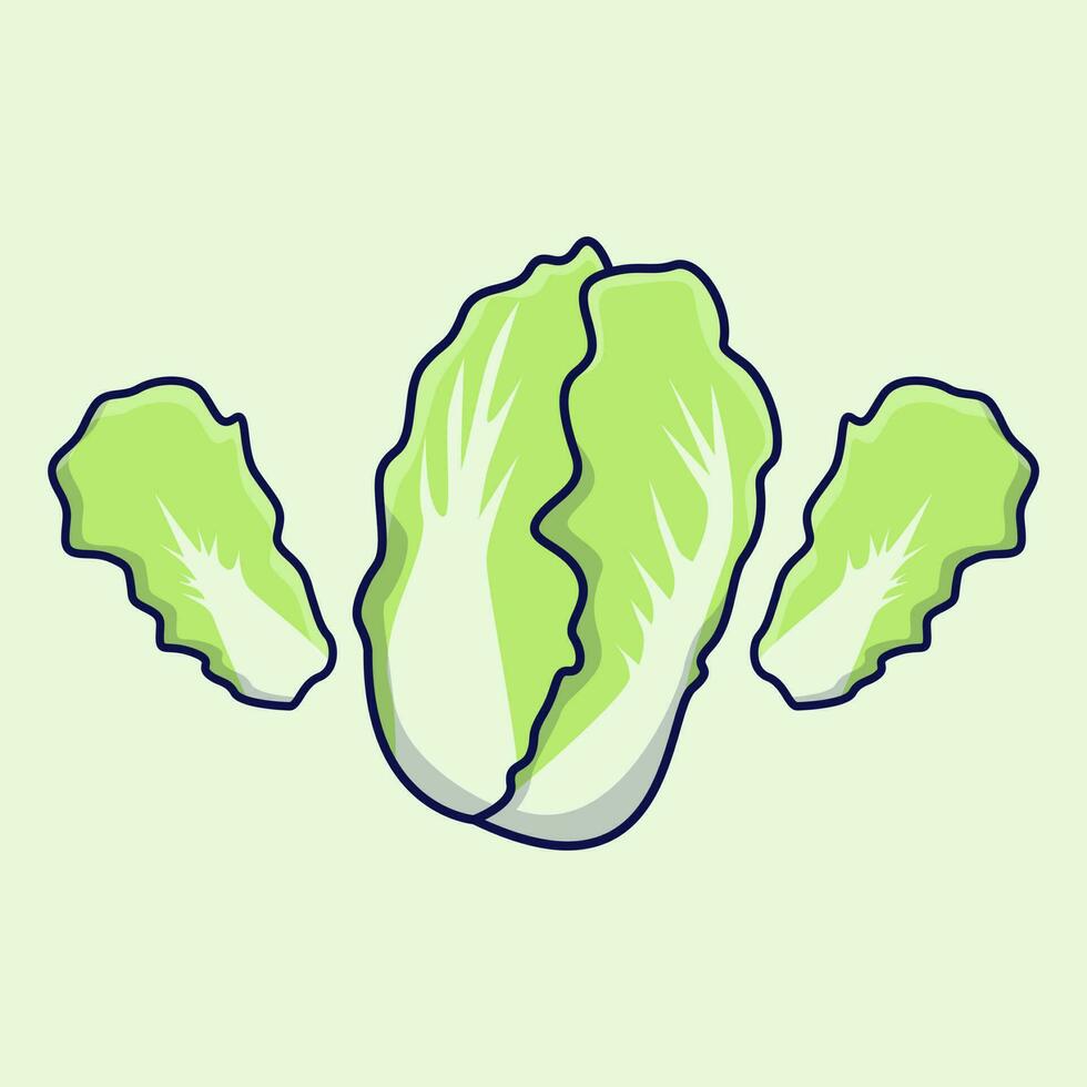 Chinese cabbage icon illustration. Isolated chinese cabbage icon on plain background. Vector illustration