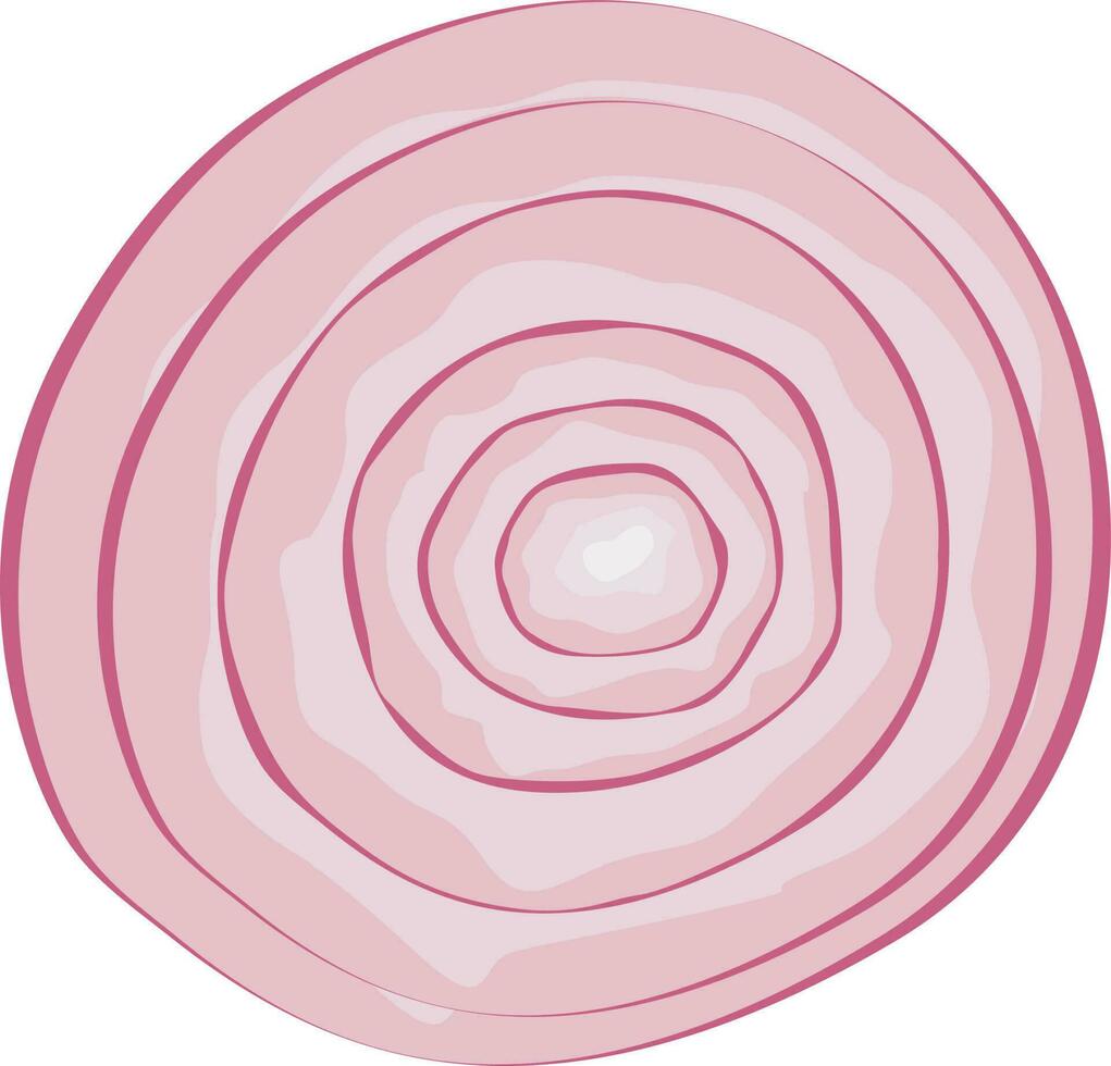 onion slice, onion ring vector illustration, red onion