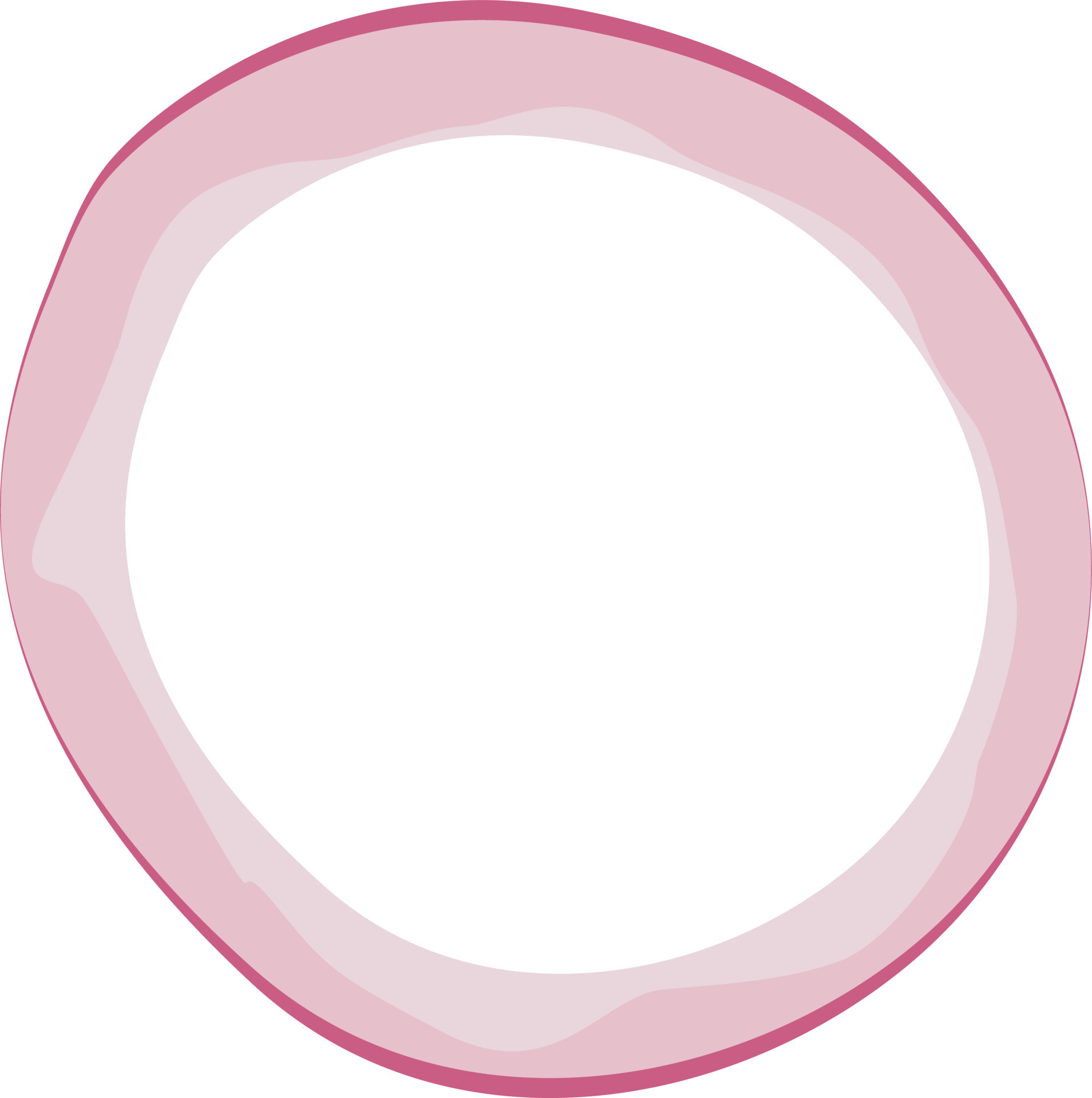 onion slice, onion ring vector illustration, red onion 24177012 Vector