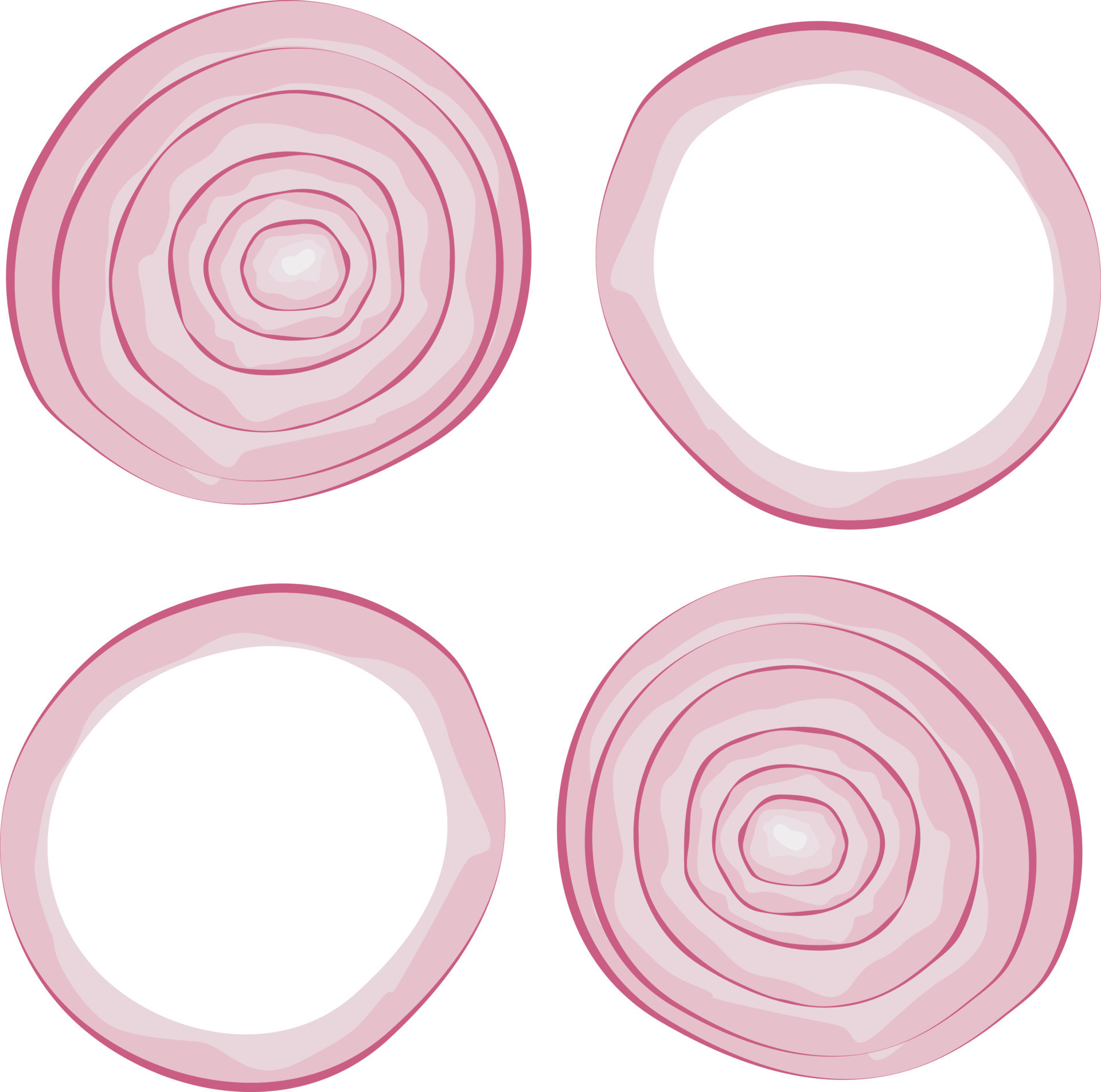 set of onion slice, onion ring vector illustration, red onion 24177022