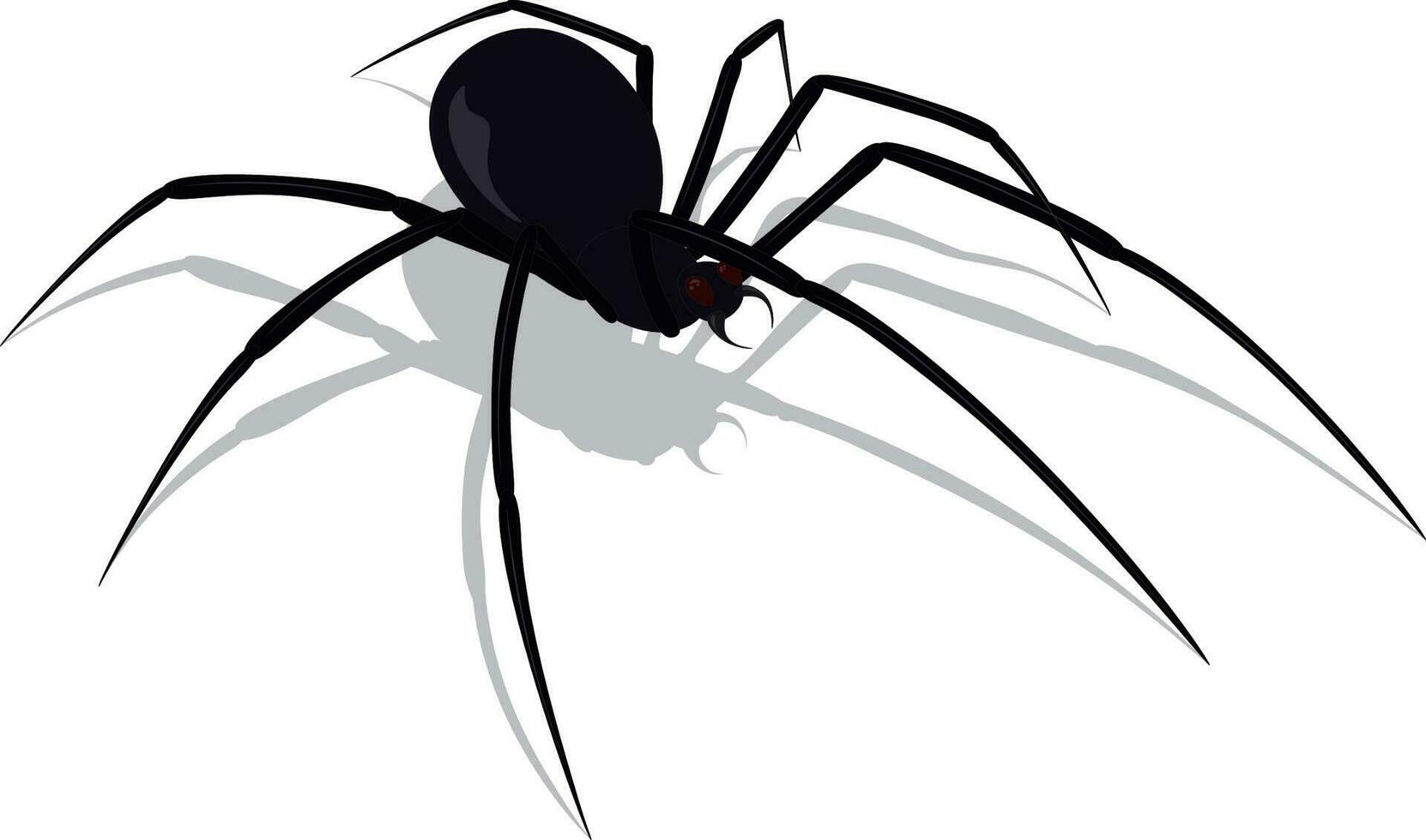 Big black venomous spider vector illustration