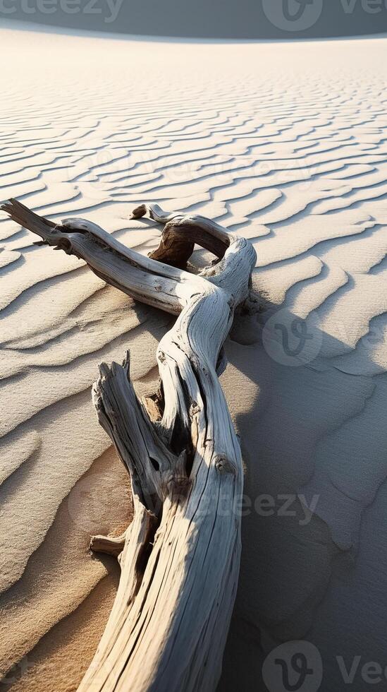 Minimalistic Photography close on a hyper detailed. photo
