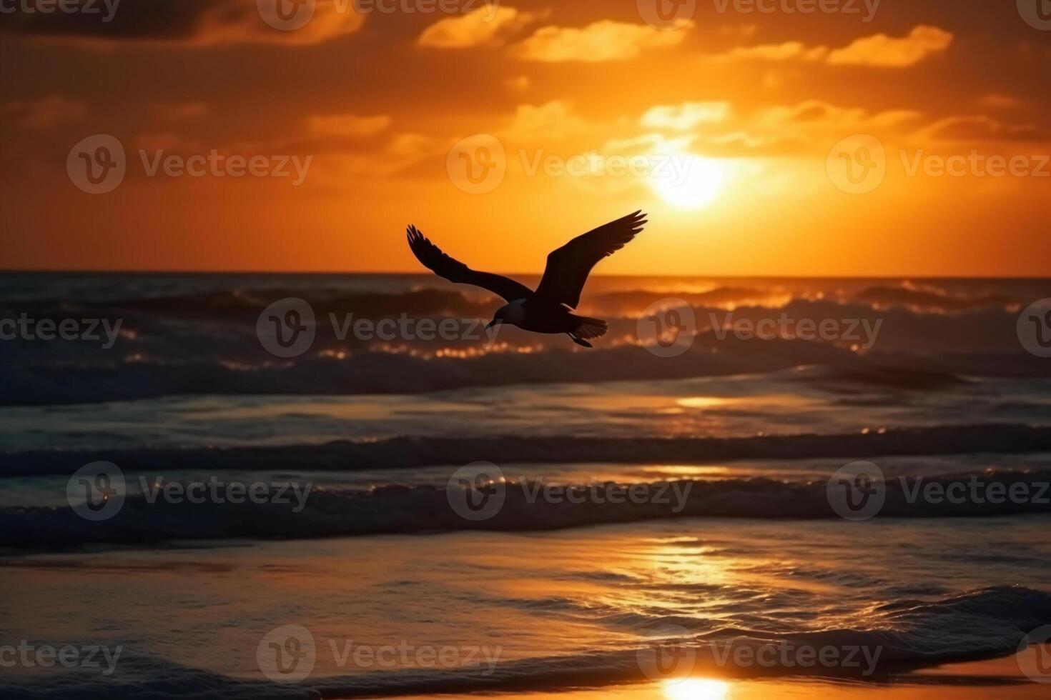 A flying seagull silhouette in sunset sky and beach. photo