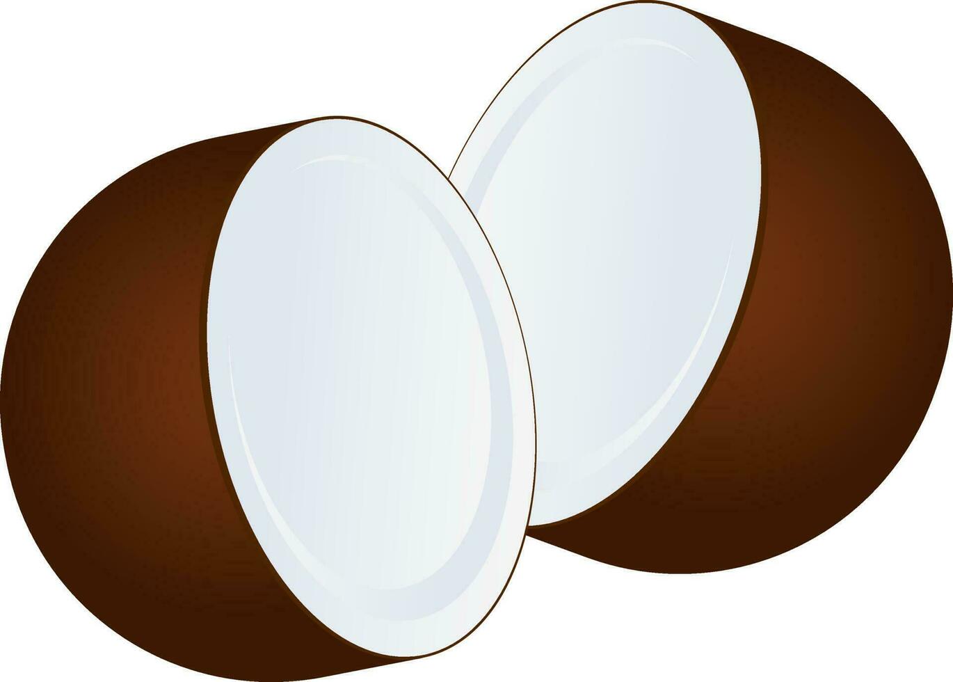 Coconut Element On White Background. vector
