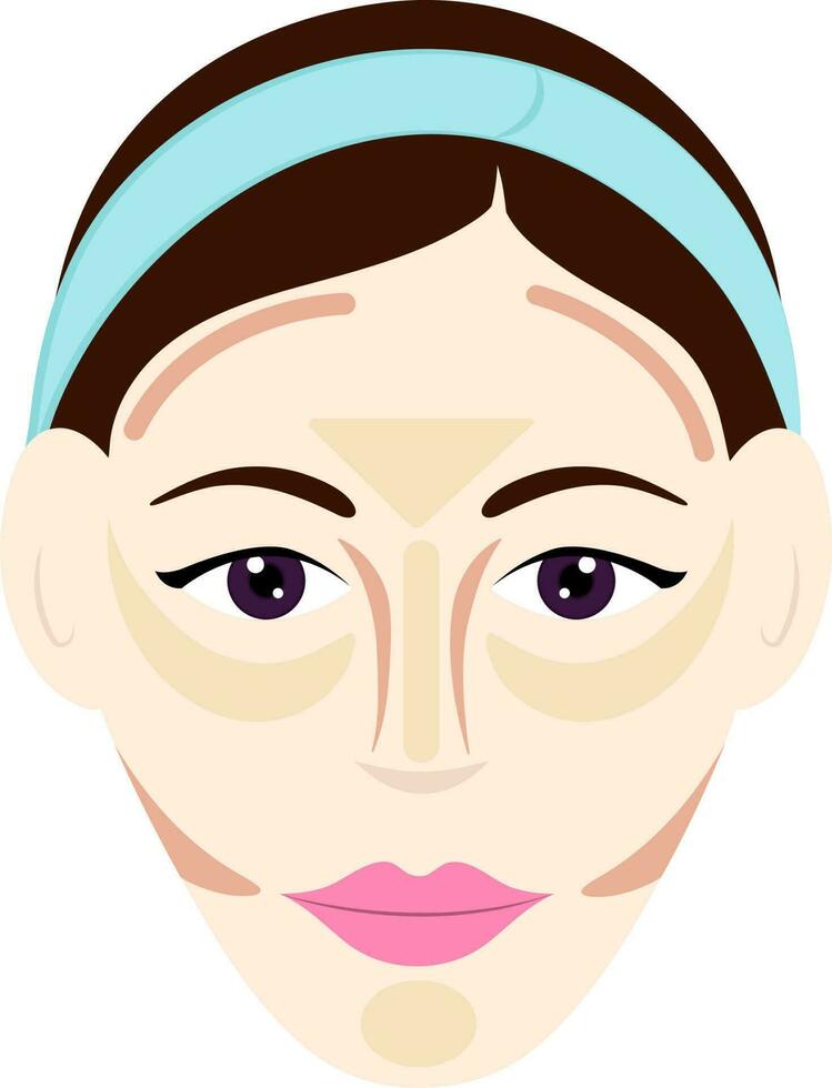 Contour Or Highlight By Oblong Face Shape Female In Flat Style. vector
