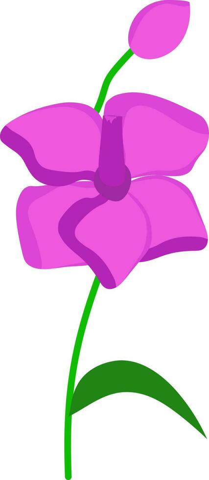 Iris Flower Icon In Green And Pink Color. vector