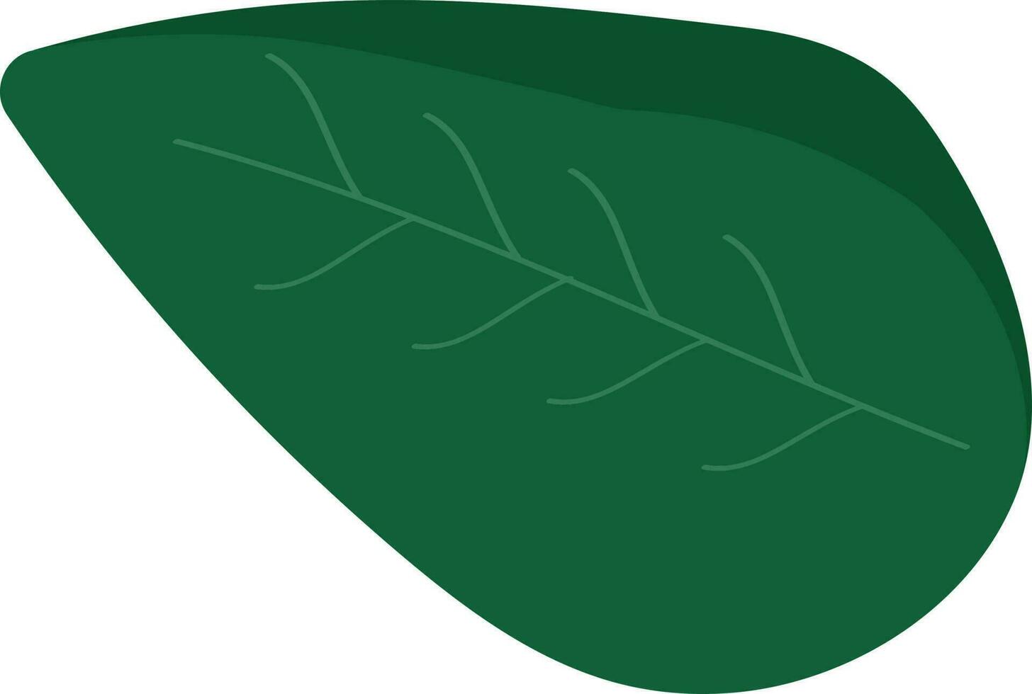 Isolated Edible Leaf Element In Flat Style. vector