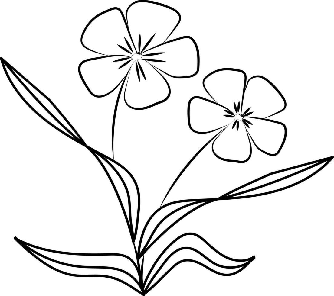 Blooming Wild Flowers Icon In Thin Line Art. vector