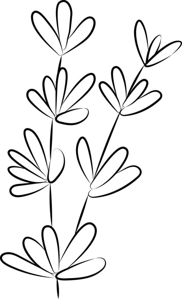 Black Outline Illustration Of Rosemary Leaves Icon. vector