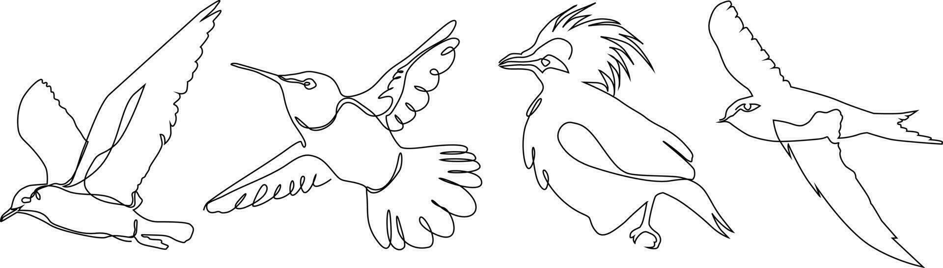 bird continuous line drawing bundle set vector