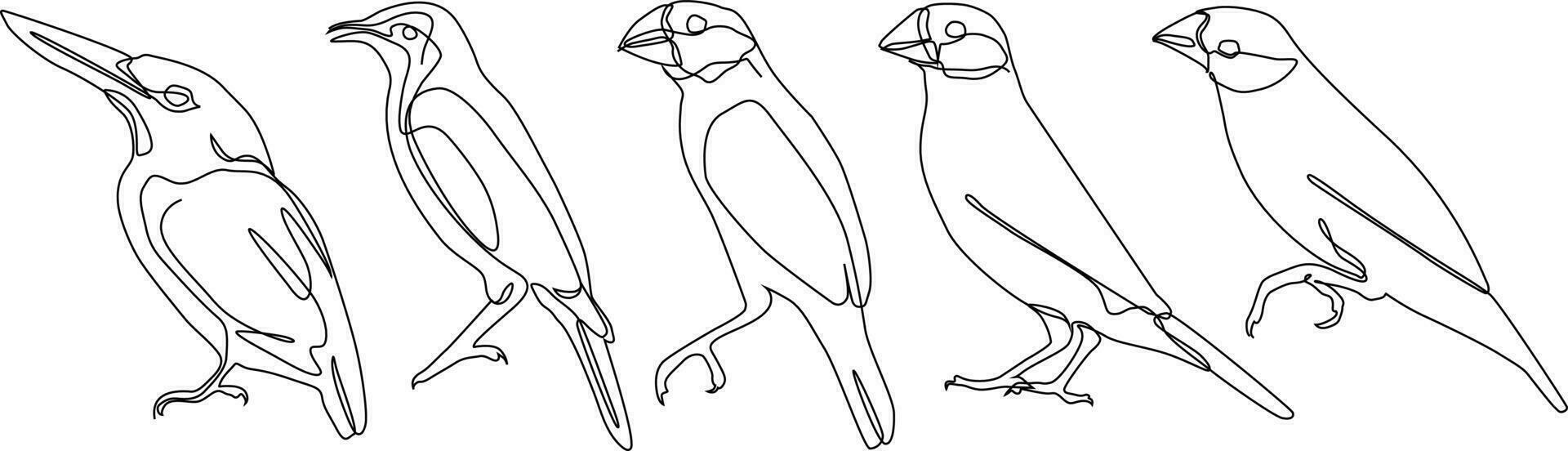 pájaro continuo línea dibujo haz conjunto vector