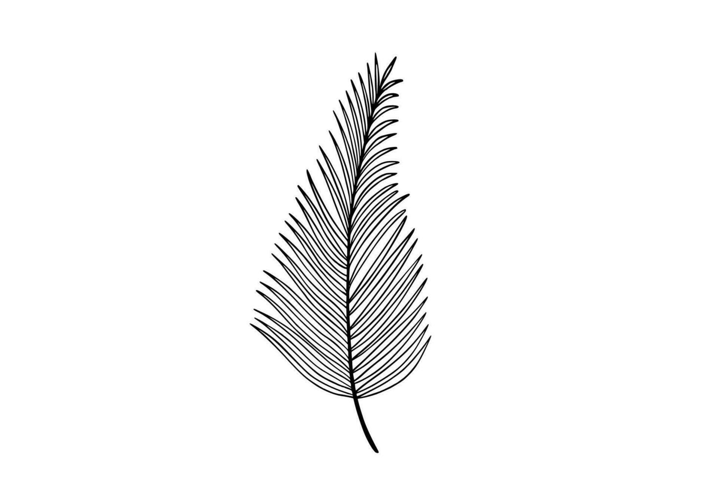 Palm leaves line art illustration vector