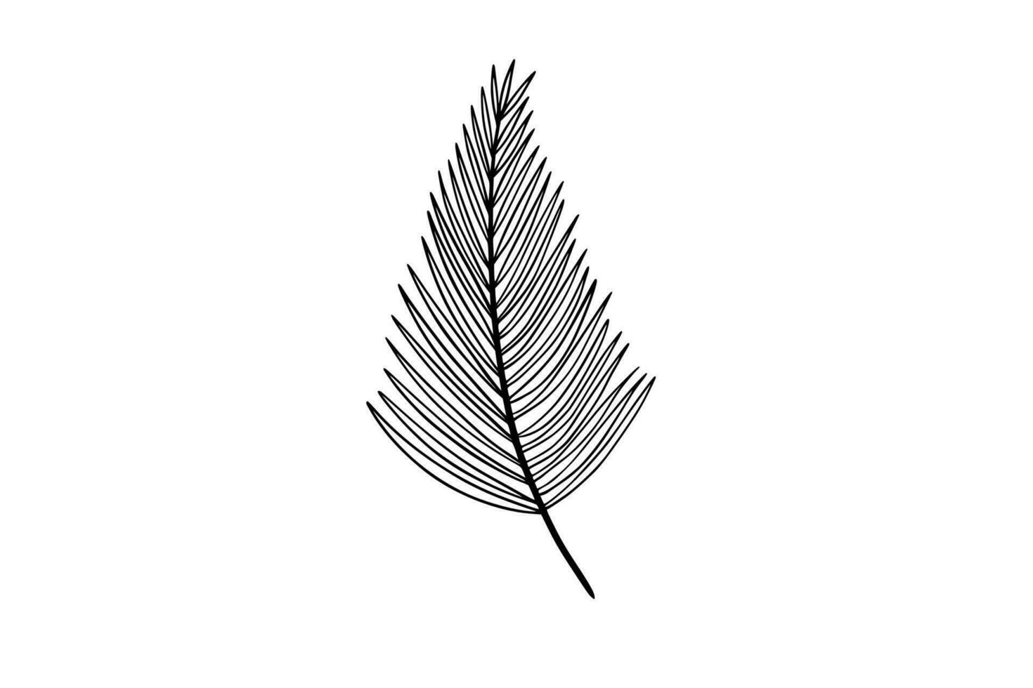 Palm leaves line art illustration vector