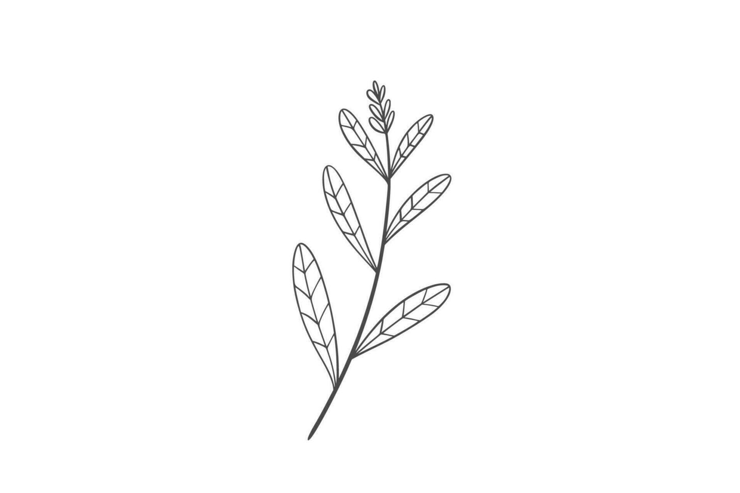 Wildplant line art illustration vector