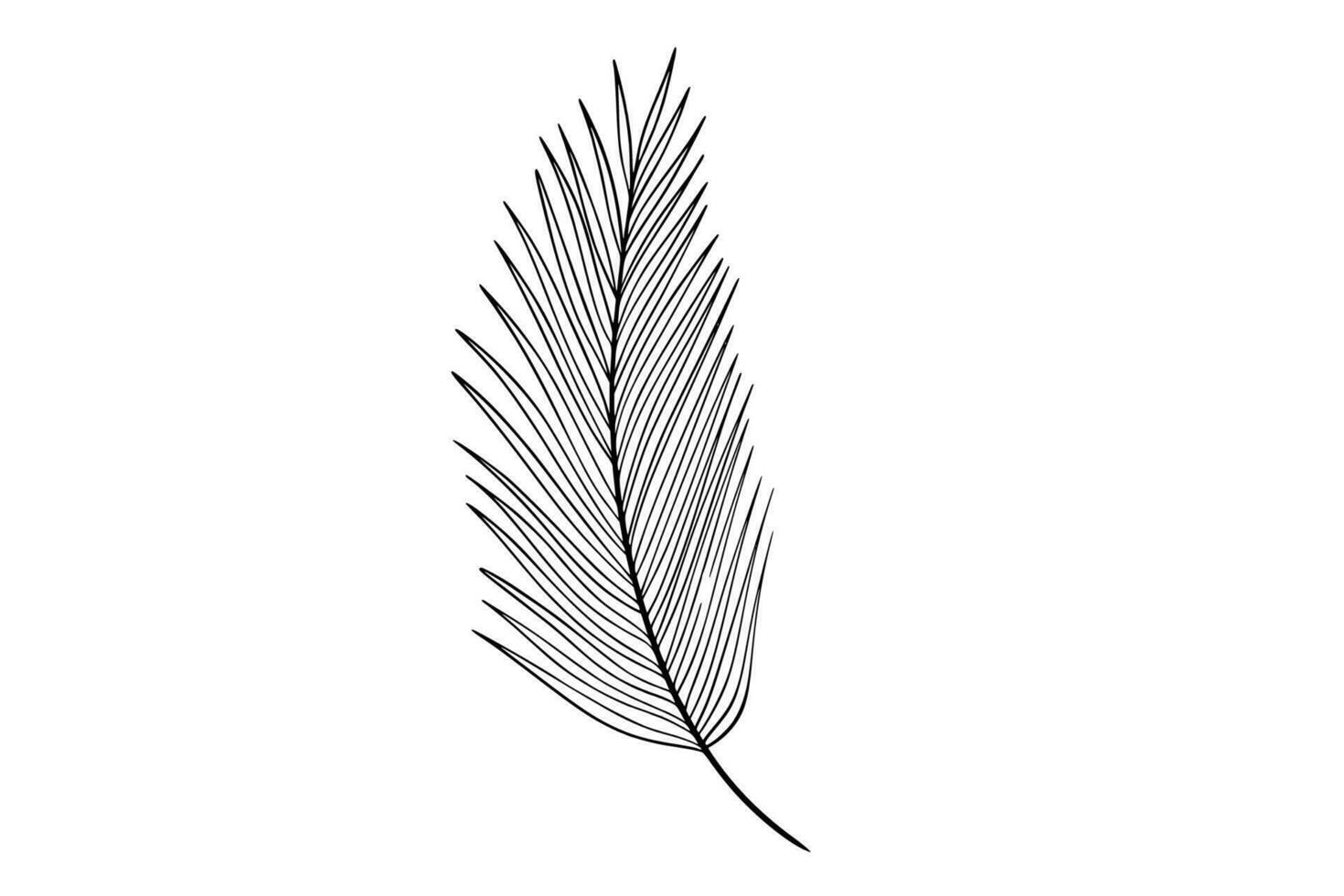 Palm leaves line art illustration vector