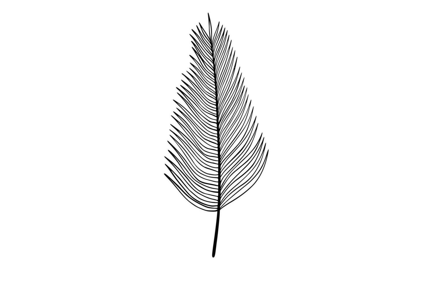 Palm leaves line art illustration vector