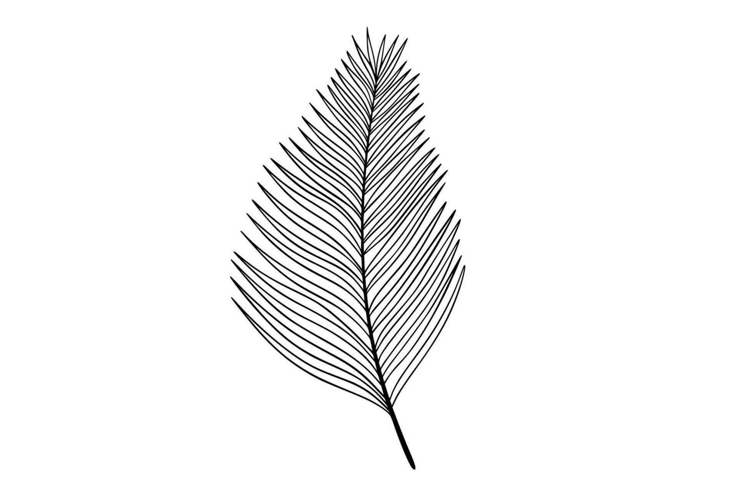 Palm leaves line art illustration vector