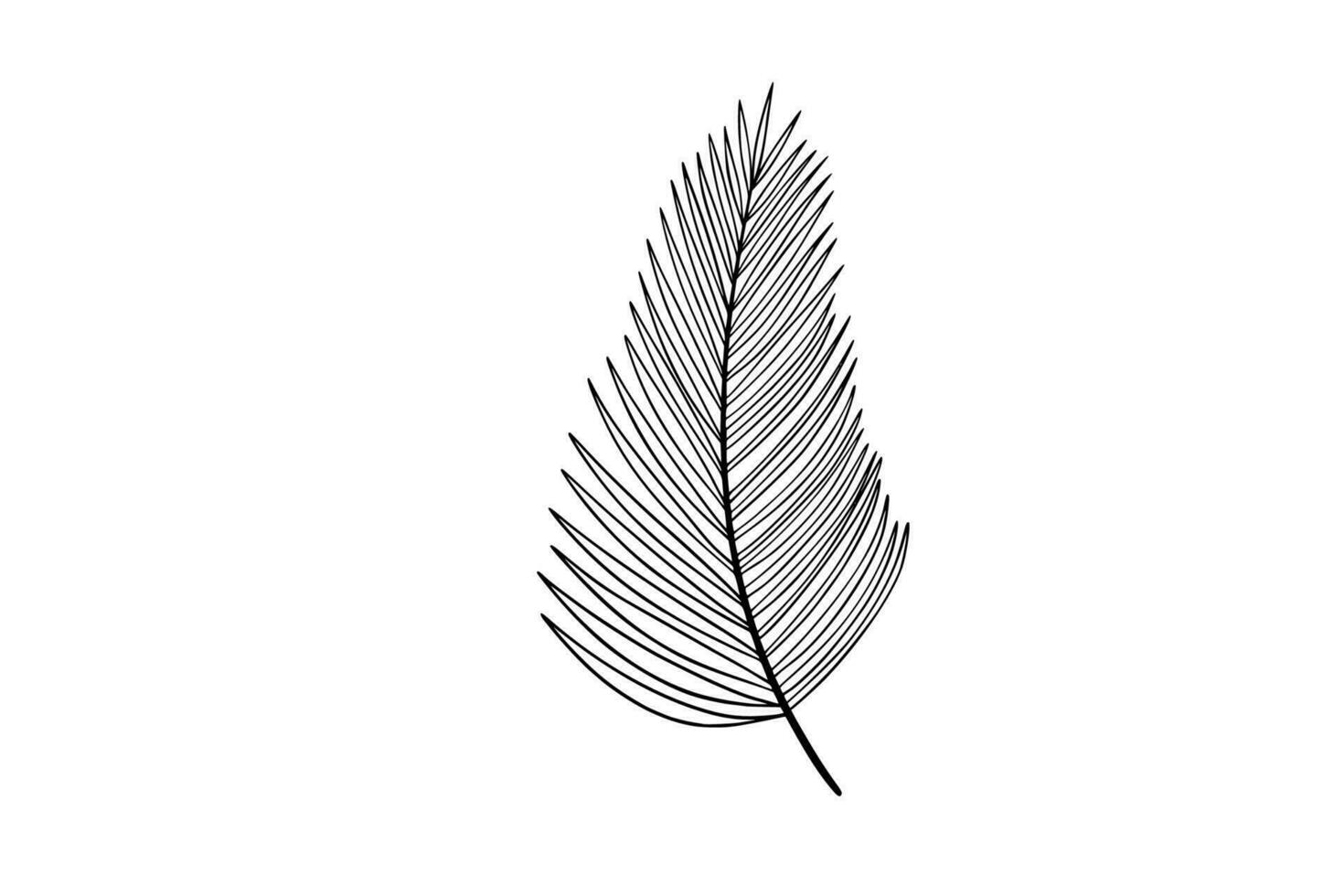 Palm leaves line art illustration vector