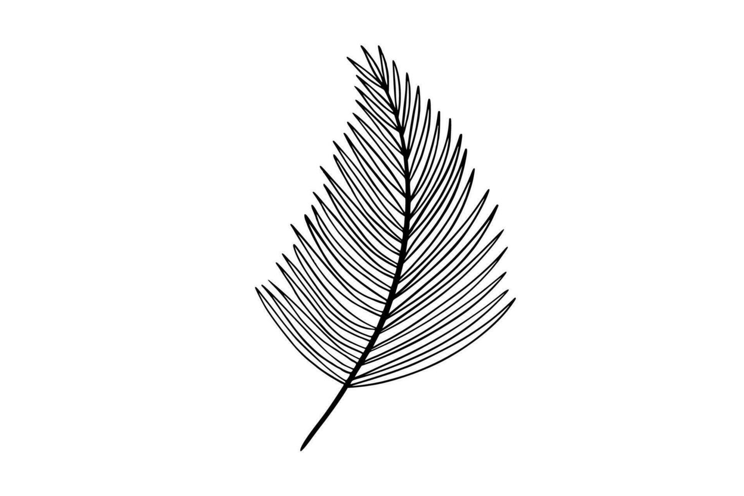 Palm leaves line art illustration vector