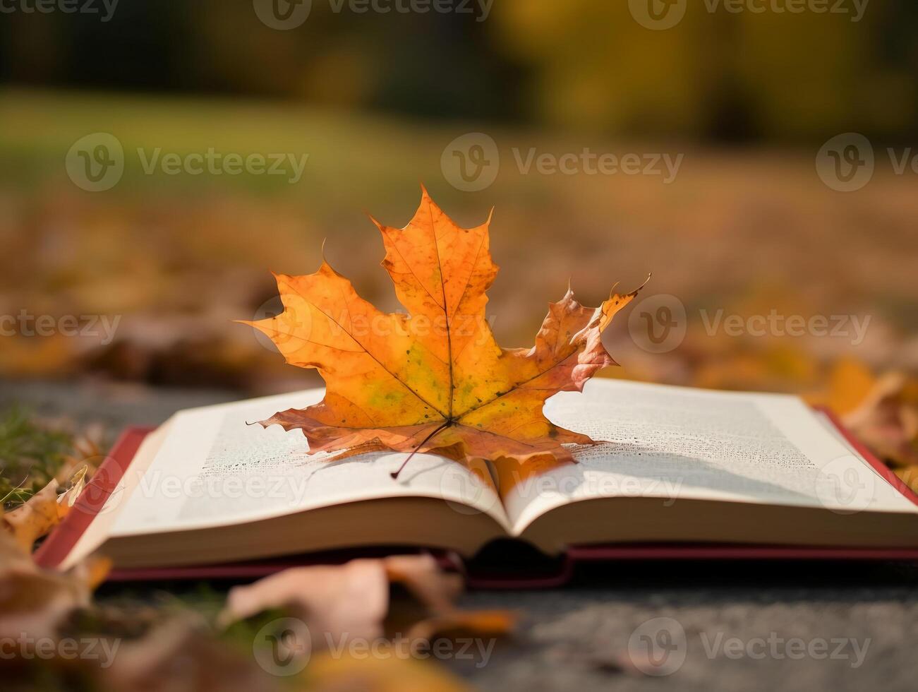 Book on a leaf with maple tree at background. photo