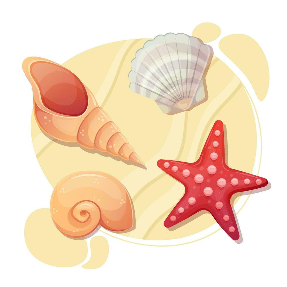 Sea shell on a beach sand. Starfish and different seashells top view. Collection set. Vector illustration isolated on white.