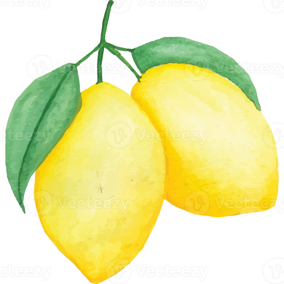 Lemon Fresh Fruit Bright Yellow Peel Clip art Element Transparent Background png