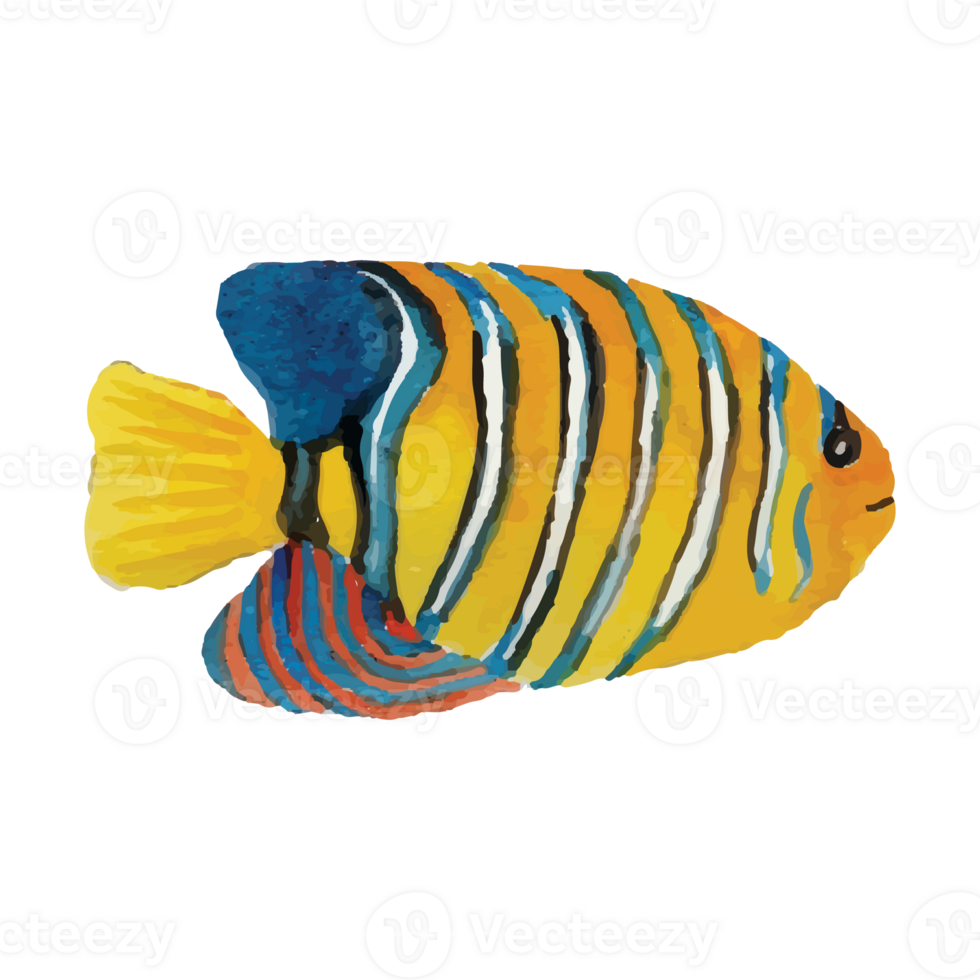 Sea Fish Transparent Background 24186699 PNG