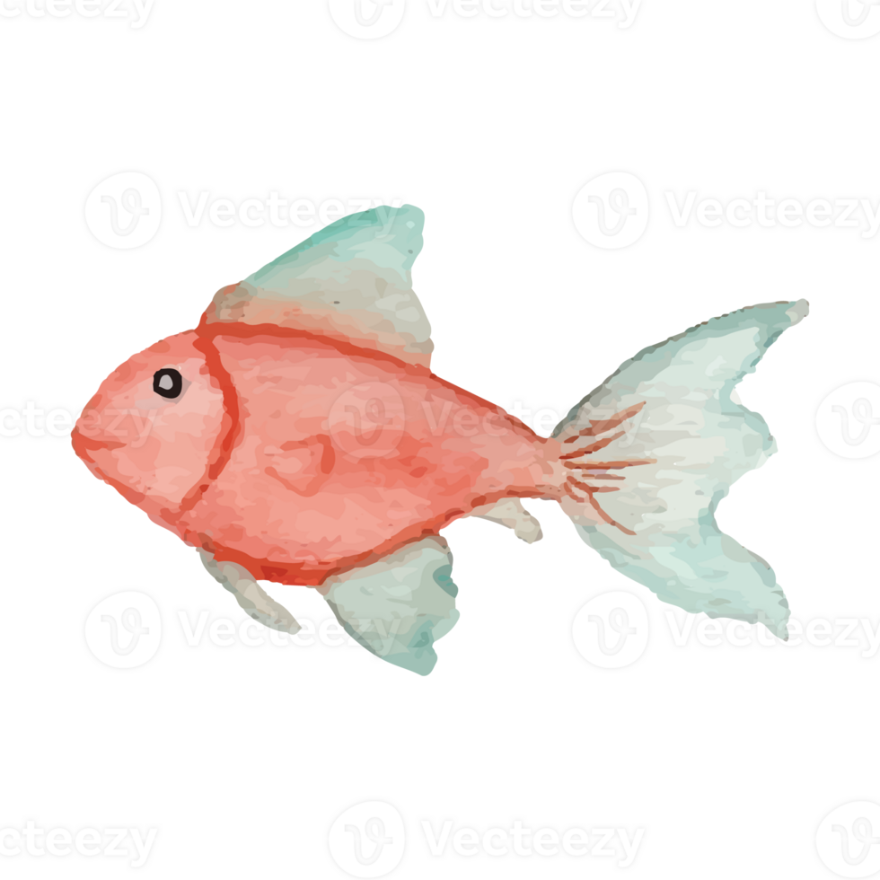 Sea Fish Transparent Background 24186710 PNG