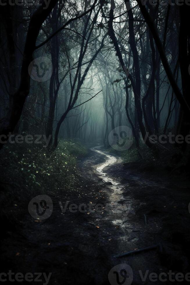 Dark forest, with a path in the middle, horror ambient, trees on the side. photo