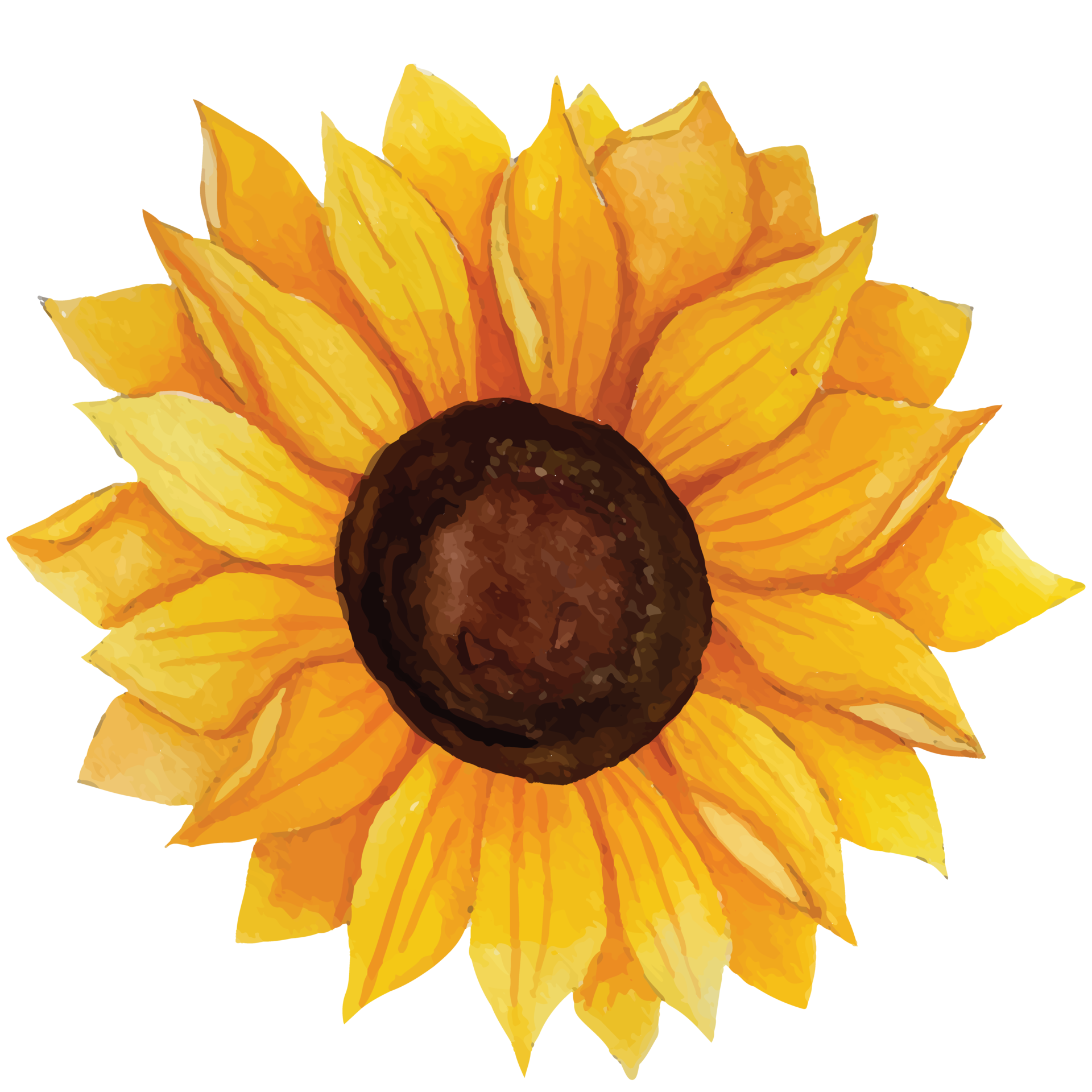 Sunflower Clip art Element Transparent Background 24186993 PNG