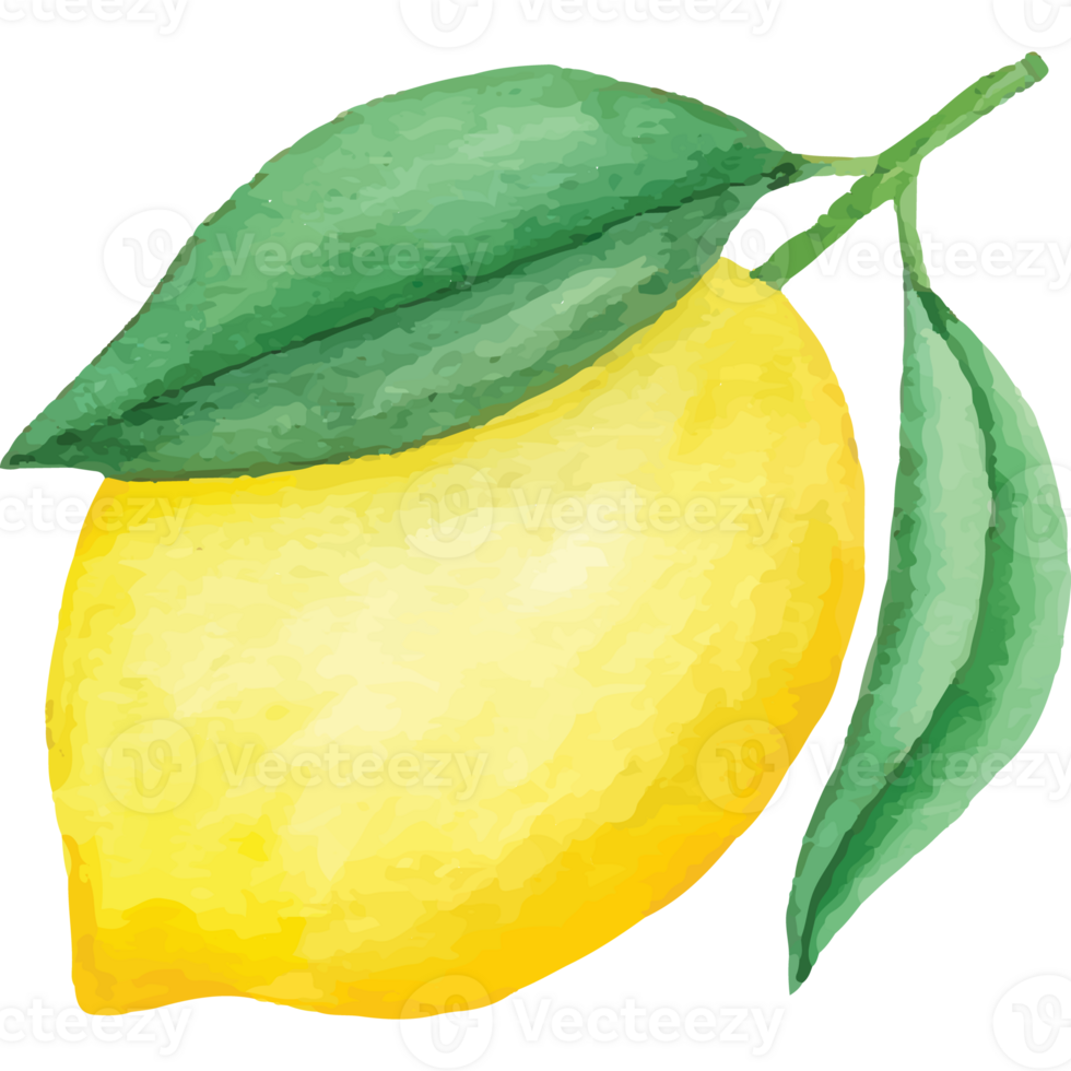 Lemon Fresh Fruit Bright Yellow Peel Clip art Element Transparent Background png