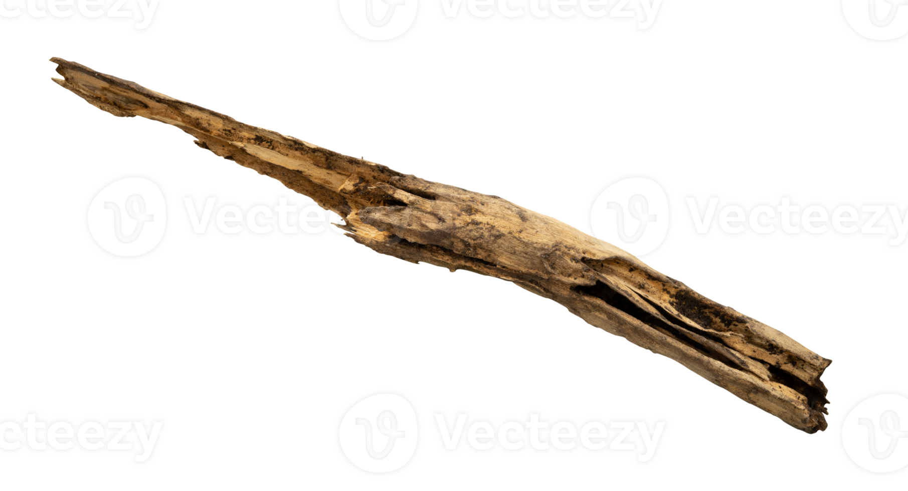 Old dead wood log isolated png