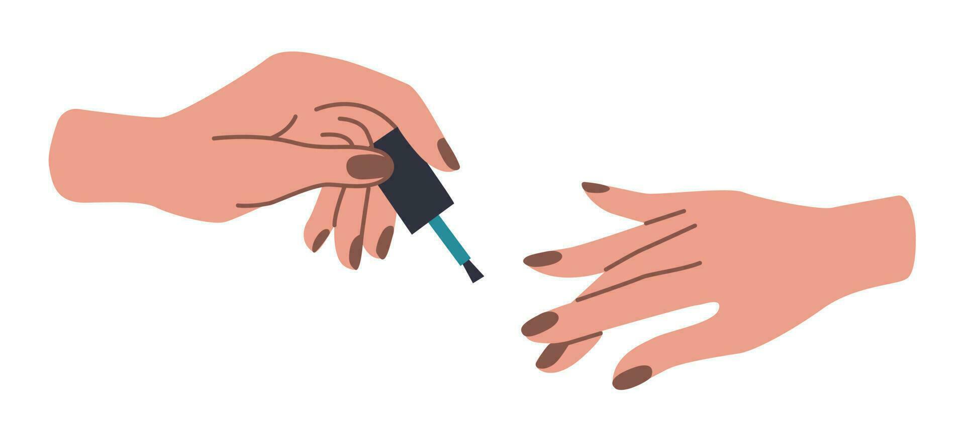 Well-groomed female hands with manicure. Hand applies nail polish. Flat vector illustration.