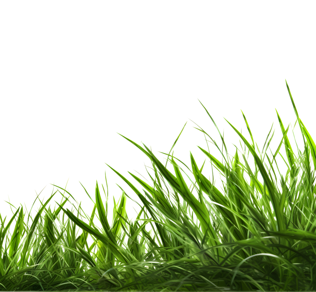 Green grass template, generated png