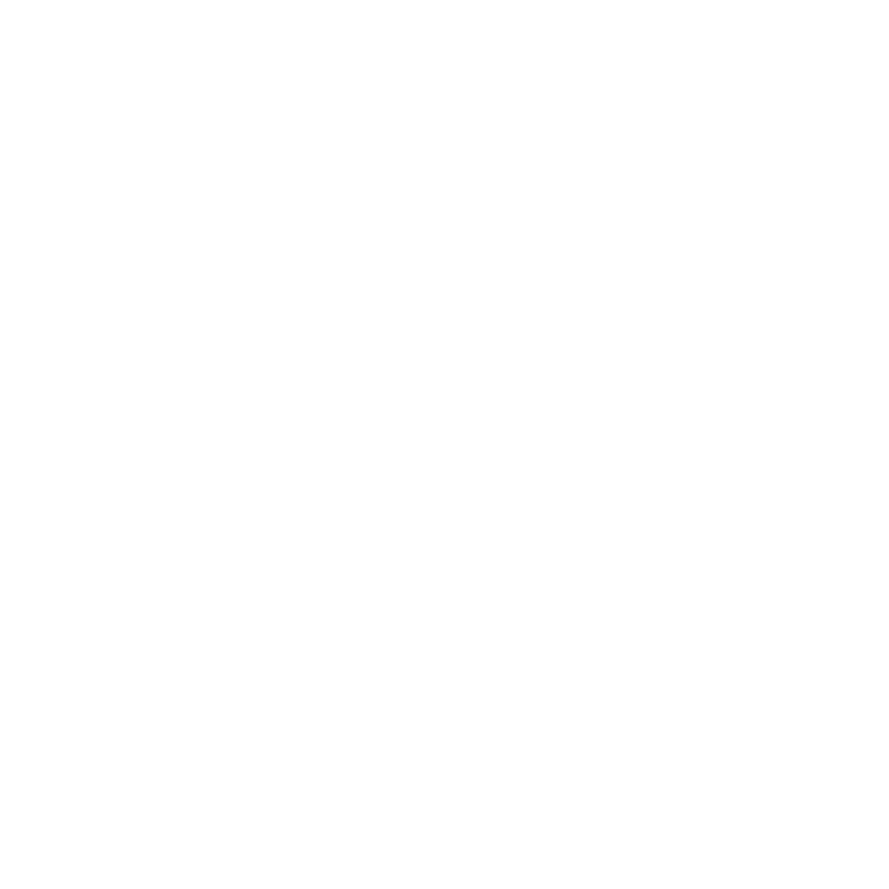 Best Lion Silhouette - png