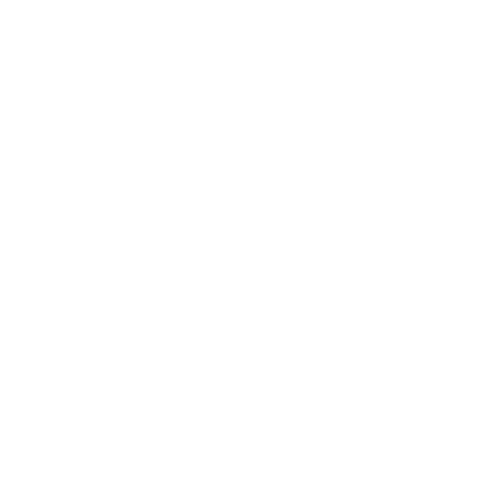 Beautiful Skull Silhouette png