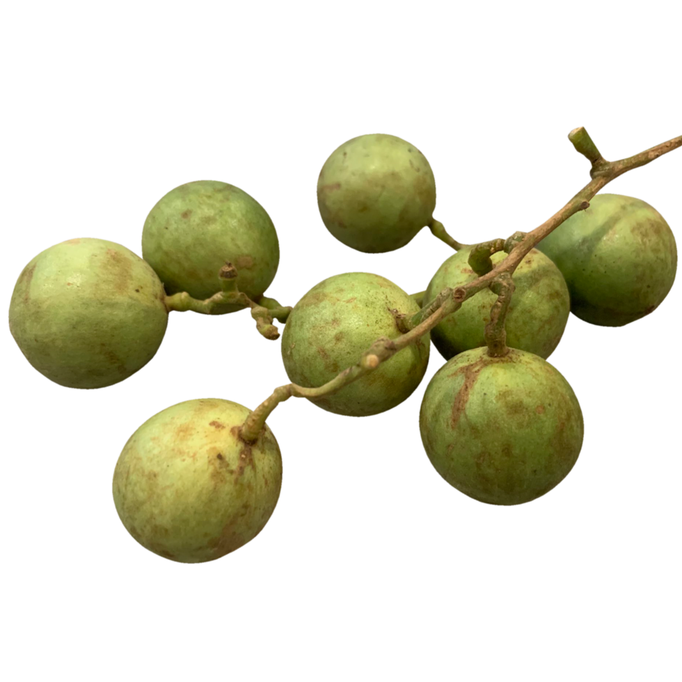 Spanish Lime plant png
