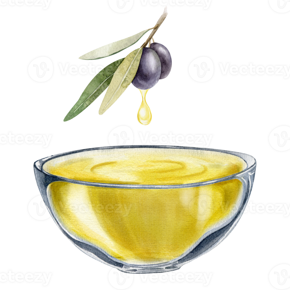 A bowl of olive oil. Olive tree branch, leaves and fruits.lives. A bowl of green olives. Vegetarian organic food. Watercolor hand drawn illustration. Isolated. For menu, packaging design png