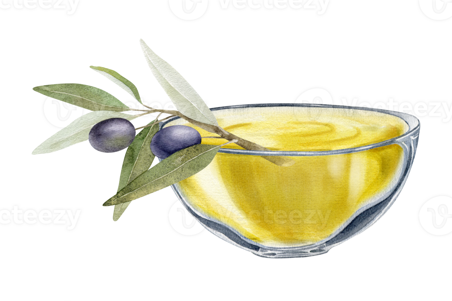 A bowl of olive oil. Olive tree branch, leaves and fruits.lives. A bowl of green olives. Vegetarian organic food. Watercolor hand drawn illustration. Isolated. For menu, packaging design png