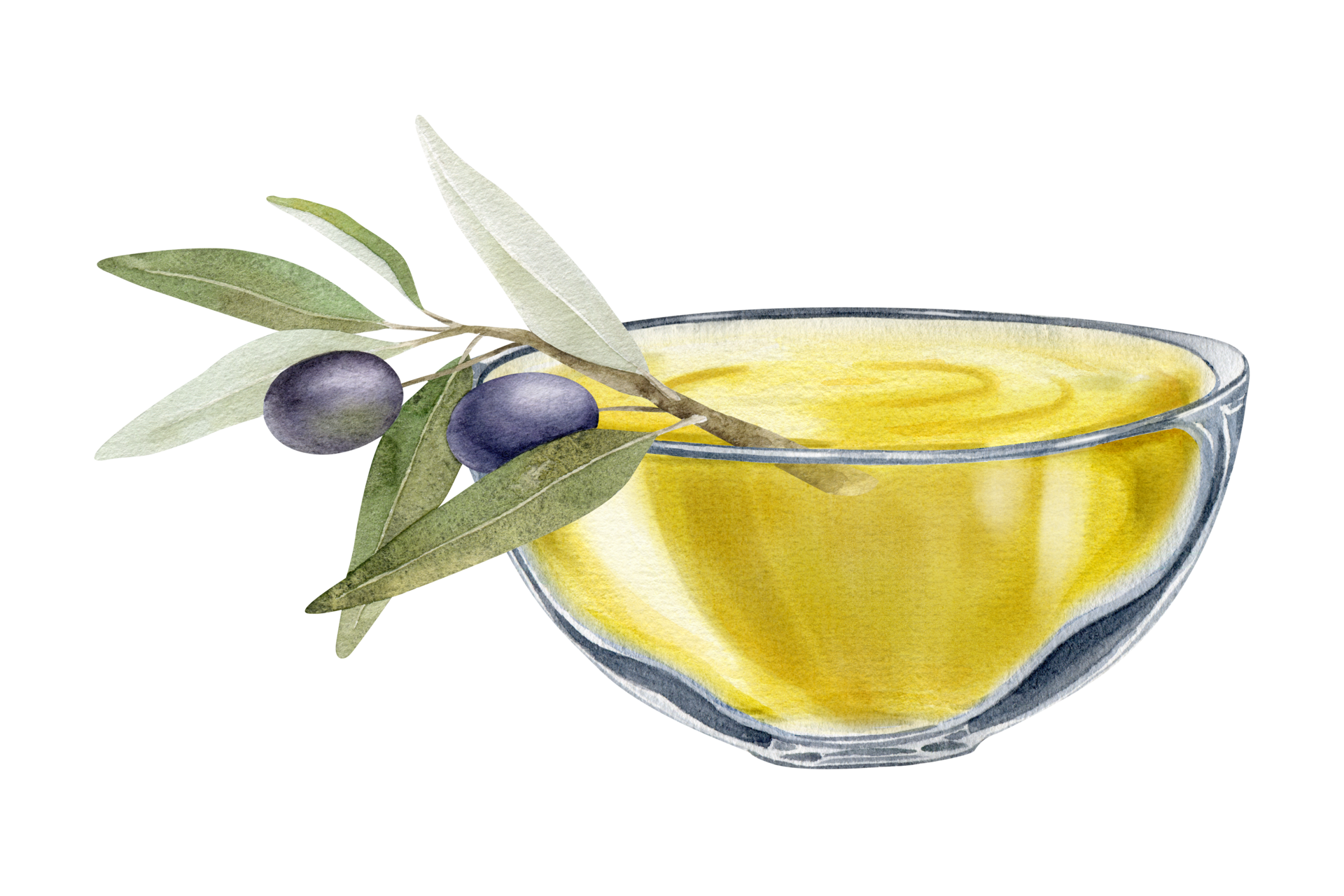 A bowl of olive oil. Olive tree branch, leaves and fruits.lives. A bowl