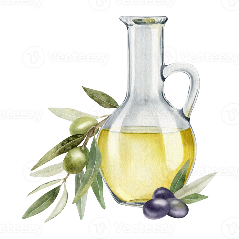 Bottle of olive oil, olive branches, leaves and fruits. Fresh organic extra virgin olive oil. Glass jug with oil. Watercolor hand drawn illustration. For menu, packaging design png