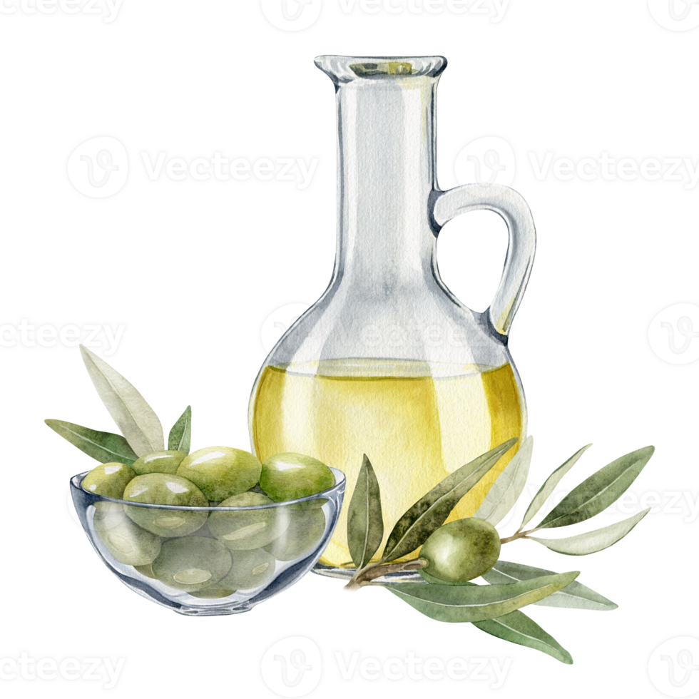 Bottle of olive oil, olive branches, leaves and fruits. Fresh organic extra virgin olive oil. Glass jug with oil. Watercolor hand drawn illustration. For menu, packaging design png