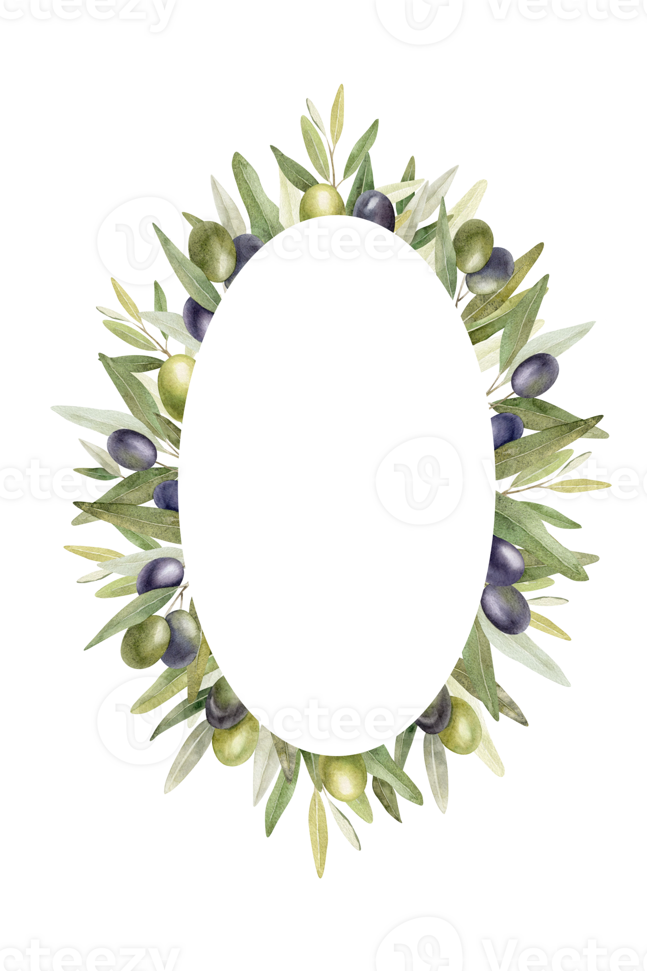 Olive branches, leaves and fruits. Round wreath of branches olive tree