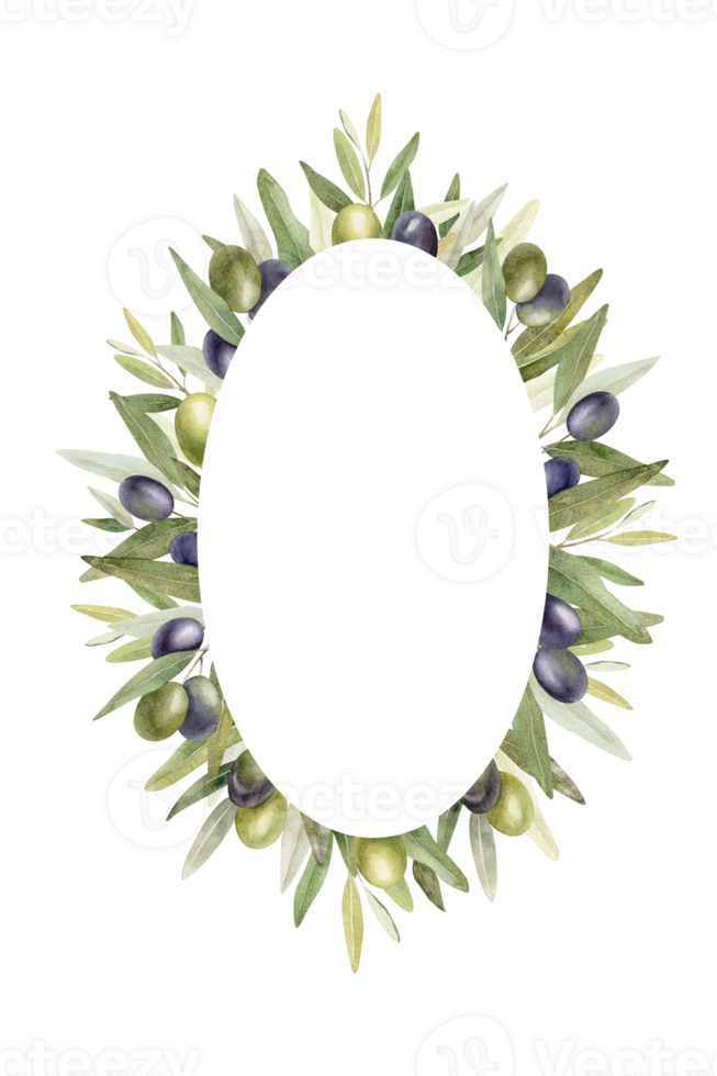 Olive branches, leaves and fruits. Round wreath of branches olive tree. Watercolor hand drawn illustration. For menu, packaging design, wedding invitation, save the date or greeting card. png