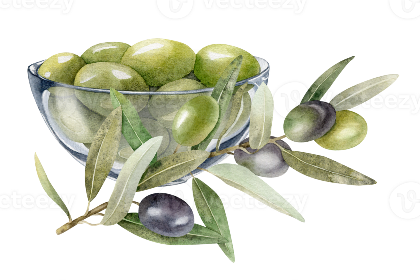 Glass bowl with green olives. Olive branches, leaves and fruits. A bowl of green olives. Vegetarian organic food. Watercolor hand drawn illustration. Isolated. For menu, packaging design png