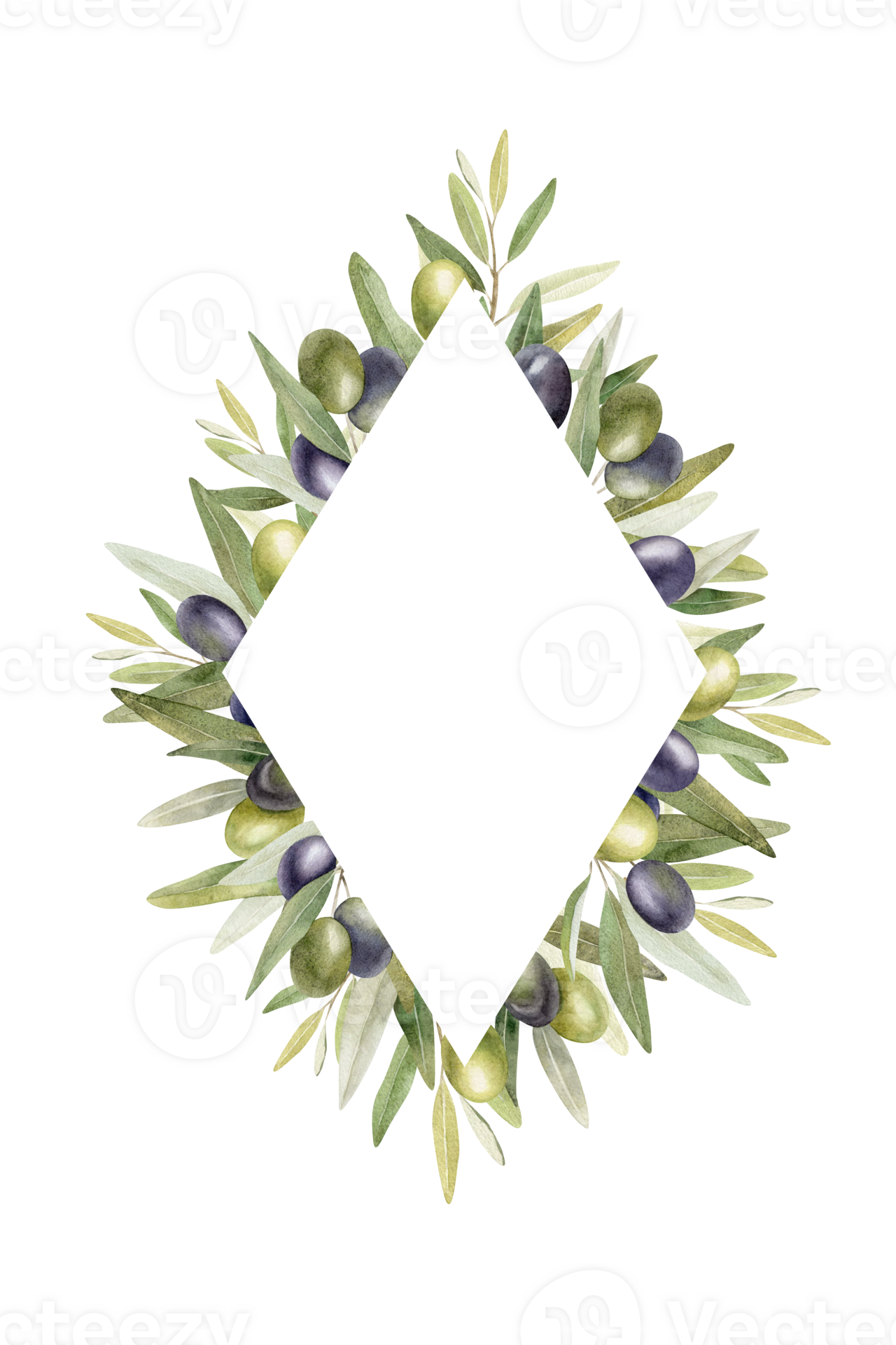 Olive branches, leaves and fruits. Wreath of branches olive tree