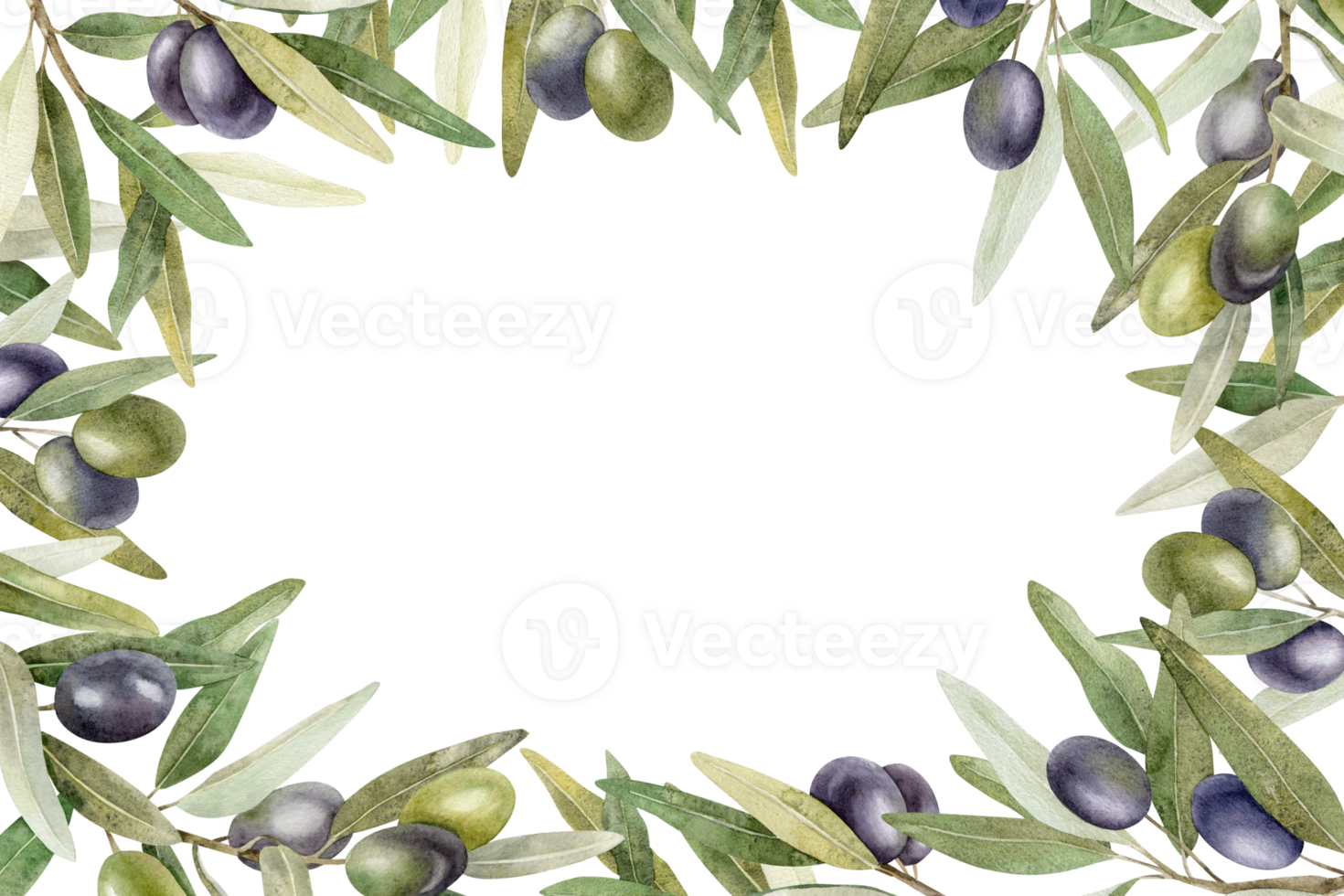 Olive branches, leaves and fruits. Wreath of branches olive tree. Watercolor hand drawn illustration. For menu, packaging design, wedding invitation, save the date or greeting card. png